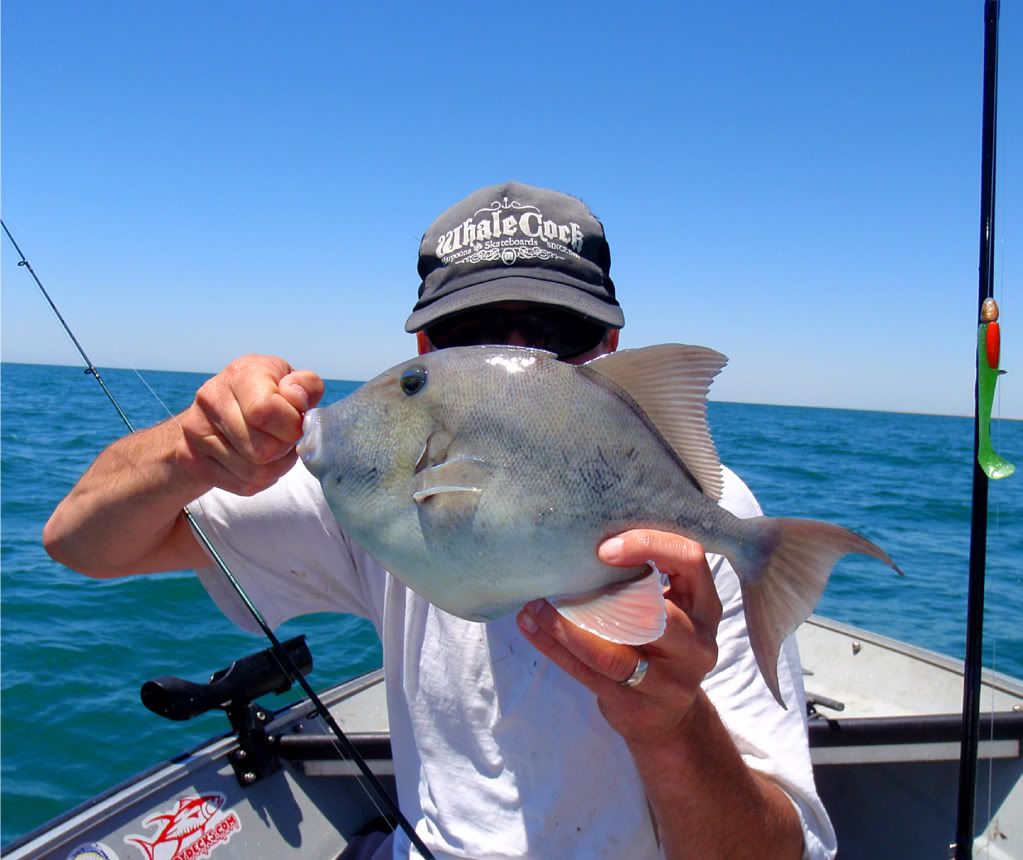 Puerto Penasco MX. 5/13-5/15 w-pics galore - Saltwater Fishing